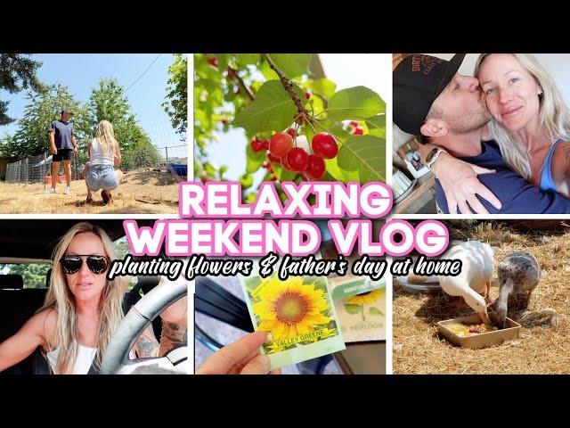 A RELAXING WEEKEND VLOG // planting sunflowers & father's day