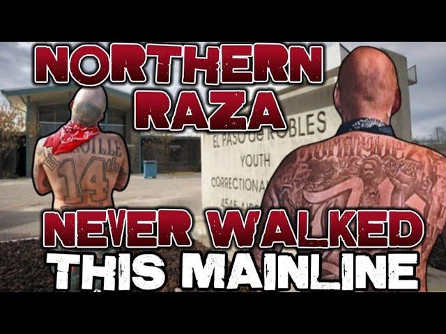 THE ONLY YARD NORTHERN RAZA COULD NOT WALK THE MAINLINE..ME AND DUBS DEBATE #southsiders #norte