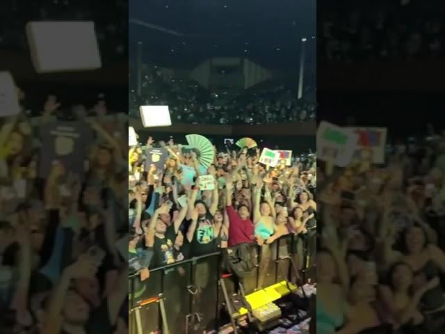 Steve Aoki's cake-throwing accuracy is unmatched| SPIN