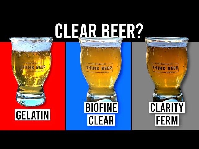 Gelatin vs. Biofine Clear vs. Clarity Ferm | exBEERiments