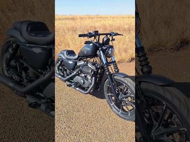 Custom Harley Davidson Iron 883 Sportster!!#bike #bikelover #bikelife #biker #harleydavidson #harley