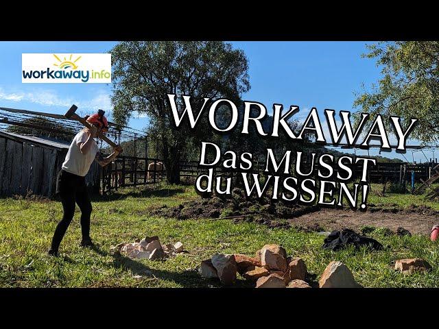 Das NERVT an WORKAWAY - Fazit nach über 10 Projekten