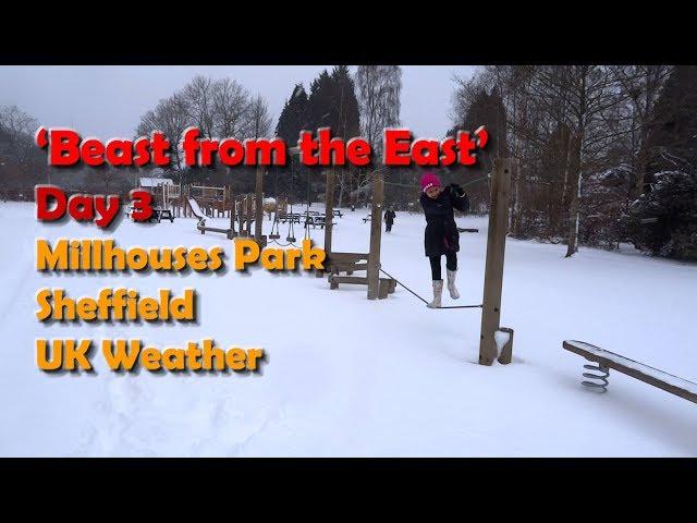 'Beast from the East' UK Snow Day 3 - Millhouses Park, Sheffield Things to Do