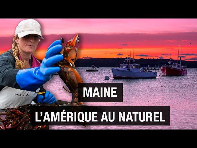 Maine: America au naturel - The essentials - Lobster - Nature - Travel documentary