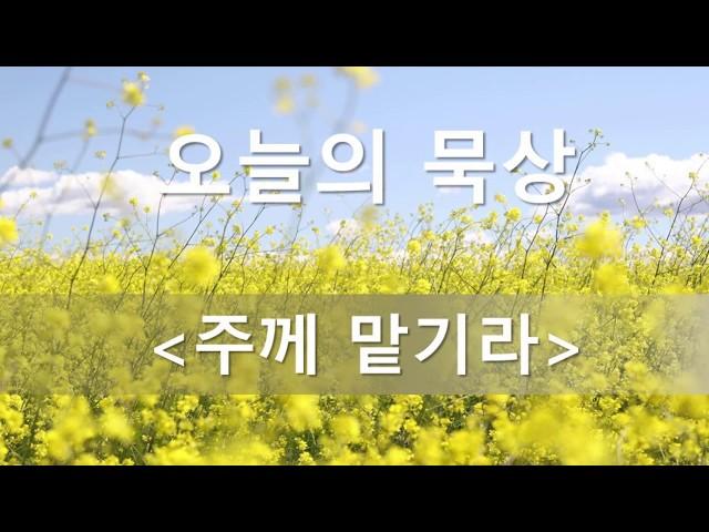 주께 맡기라 - 오늘의 묵상 #43(시편 55:22, 성경말씀묵상)