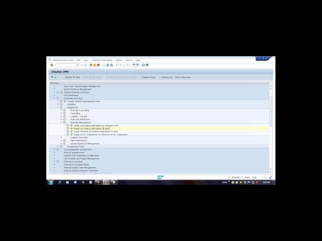 SAP Enterprise Structure configuration Video