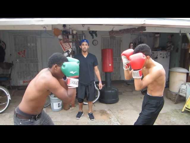 Front Yard Knocks (Cesar VS Lake)