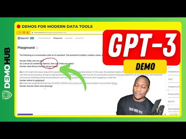 GPT-3 Demo // What is GPT 3  - GPT 3 AI - Artificial Intelligence - Open AI | www.demohub.dev