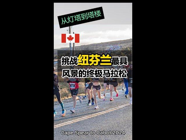 From Cape Spear to Cabot | Legendary Road running event in Newfoundland 纽芬兰最具观赏性的马拉松赛事