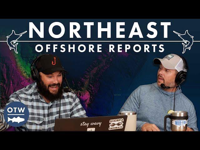 Promising Weather Ahead | Northeast Offshore Fishing Report | September 24, 2024