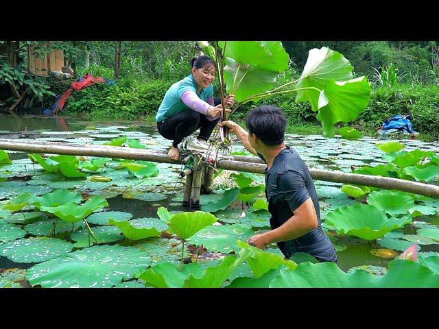 DAU & TU'S STORY: Building a beautiful lotus garden on the farm - Forest life skills DT