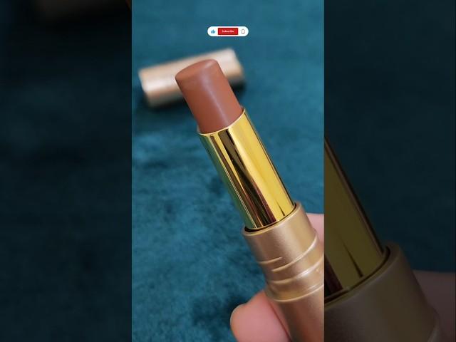 Matt Look Desi Diva Lipstick-Deep Cocoa #shorts #affordable #lipstick #lipstickswatch #trending #fyp