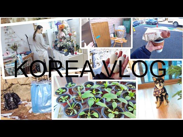 Зимние будни в Корее / Обо всём понемногу / KOREA VLOG