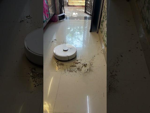 Narwal Freo X plus robot vacuum and mop STRONG mode test #robotvacuum #shortfeed