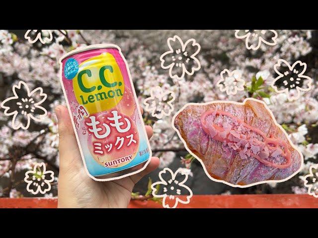 visiting the nakameguro sakura so you don't have to  japan vlog 2023  morning & night view
