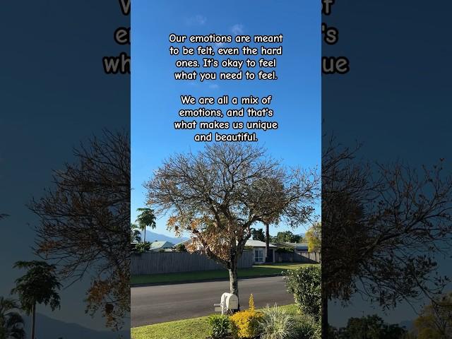You are a living piece of season, embrace every emotion that you feel. #journey #journal #shorts