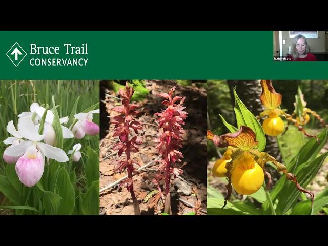 Webinar - Tips on hiking the Bruce Trail End to End