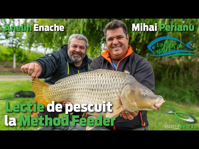 Școala de Method Feeder cu Anelin Enache si Mihai Perianu | Lacul Nucetu | MarelePescar