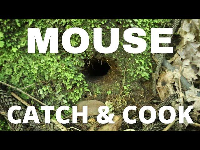 Primitive Mouse trap CATCH and COOK