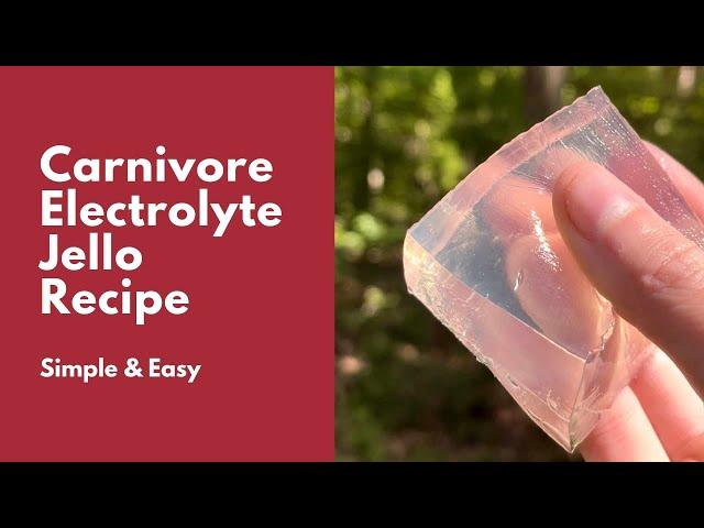 Carnivore Diet Electrolyte Jello Recipe