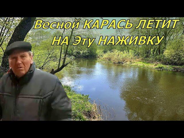 Старый рыбак сказал на что Легко поймать карася весной  Супер рыболовная насадка