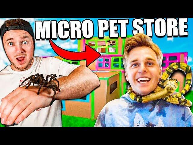 We Opened A FREE Micro Box Fort PET Store!