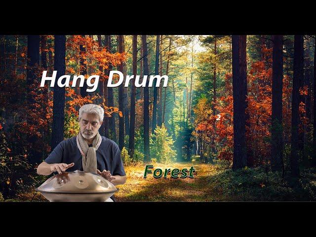 hangdrum ahmadzadeh   original music   forest 2023 2