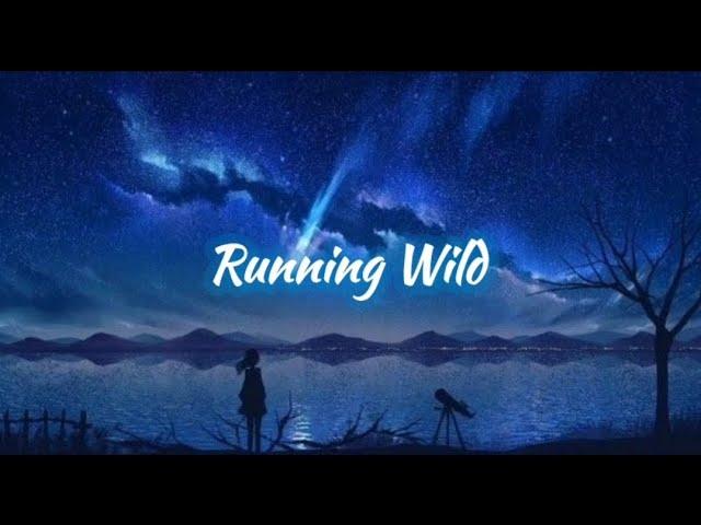 Running Wild - Jin [Lyrics]