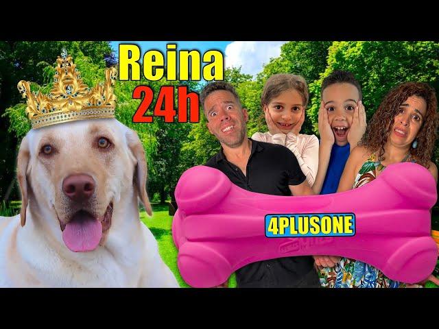 Nuestra perrita MAGGIE es REINA por 24H|4PLUSONE