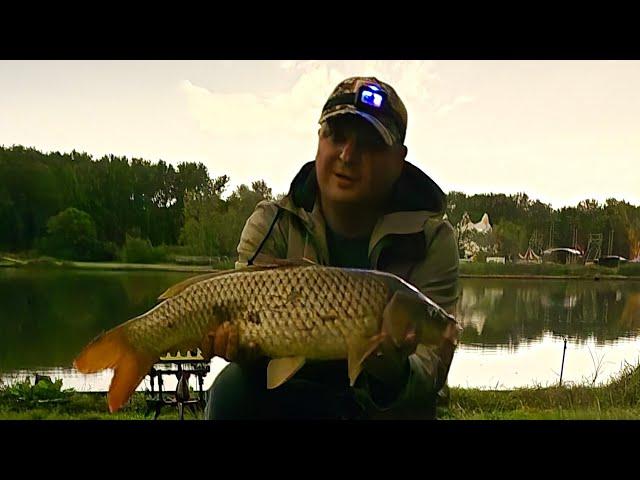 Carp fishing , карп на флэт, секреты и советы.