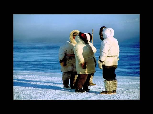 Science Café -- Conservation Biology of the Common Eider