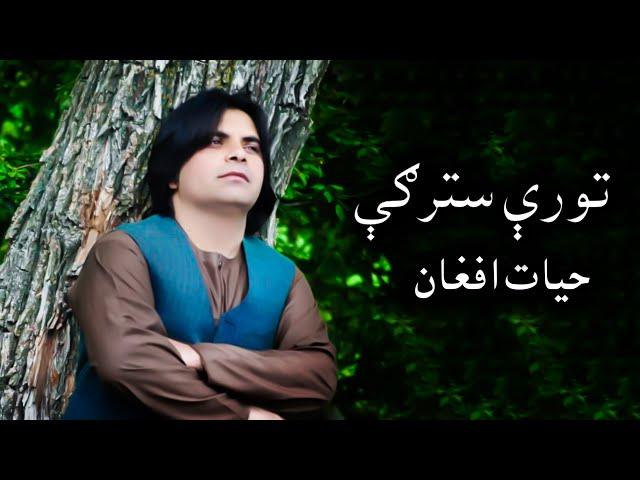 Hayat Afghan - Pashto New Song 2021| Tore Starge - حیات افغان - تورې سترګې