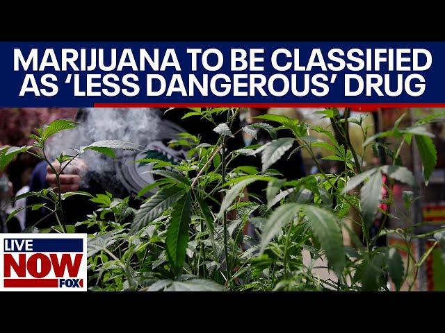 BREAKING: Marijuana to be reclassified as 'less dangerous' drug by DEA | LiveNOW from FOX