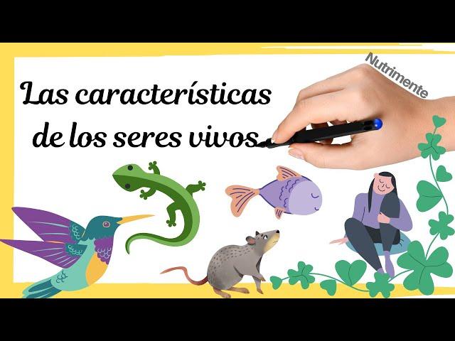 Características de los SERES VIVOS