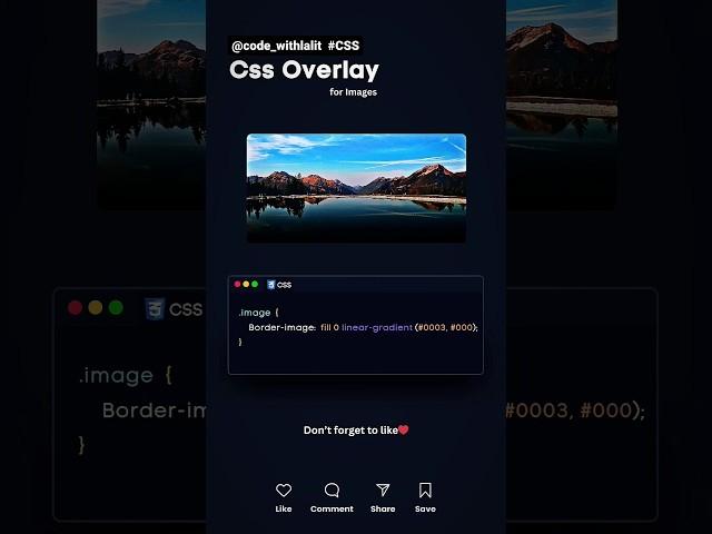 CSS Overlay for images‍ #coding #programming #2024 #cssanimation #js #html #csstricks #css #images