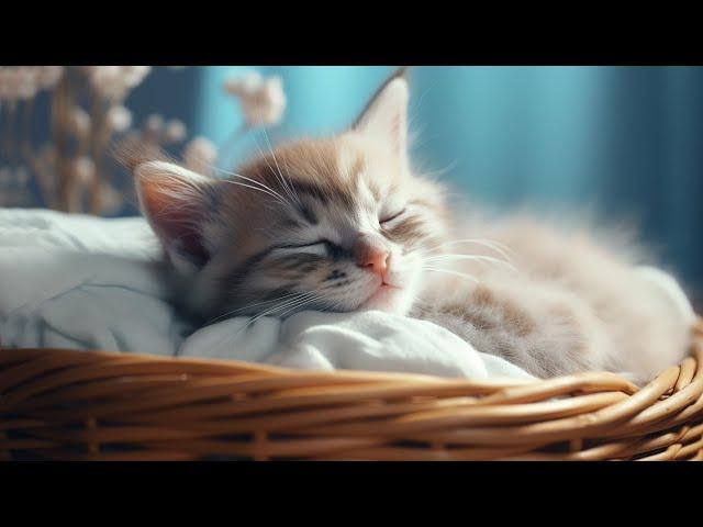 EXTREMELY Soothing Cat Therapy Music - Relax Your Cat! Cat Music - Music to Help Your Kitty Sleep