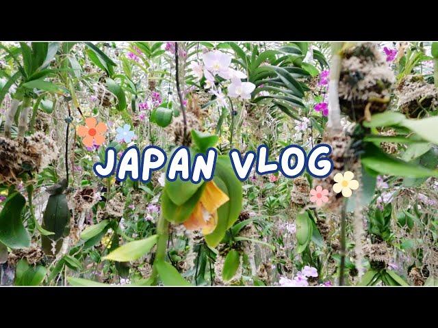 JAPAN DIARIES | kyoto, teamlabs, and lots of ramen