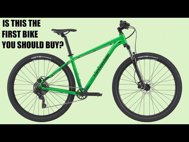 Entry Level Budget Mountain Bikes from Big Brands