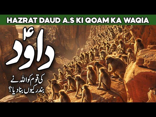 Life Of Prophet Dawood | Story Of Prophet Dawud | Tomb Of King David | Al Habib Islamic