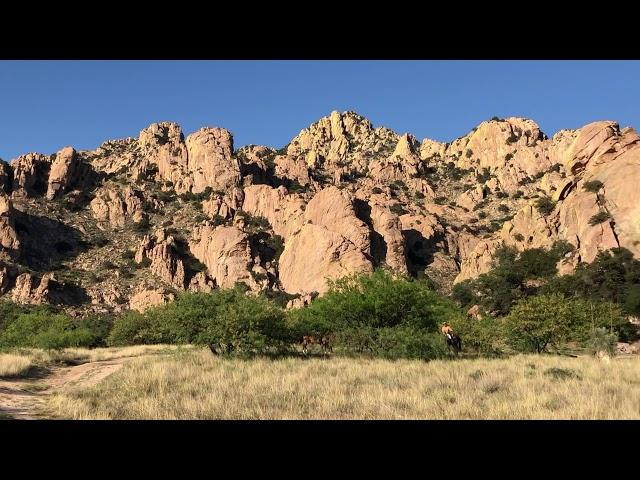 Double R Guest Ranch Horses