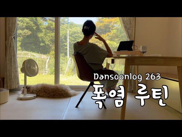 Korean summer rural life vlog 263) Heat wave