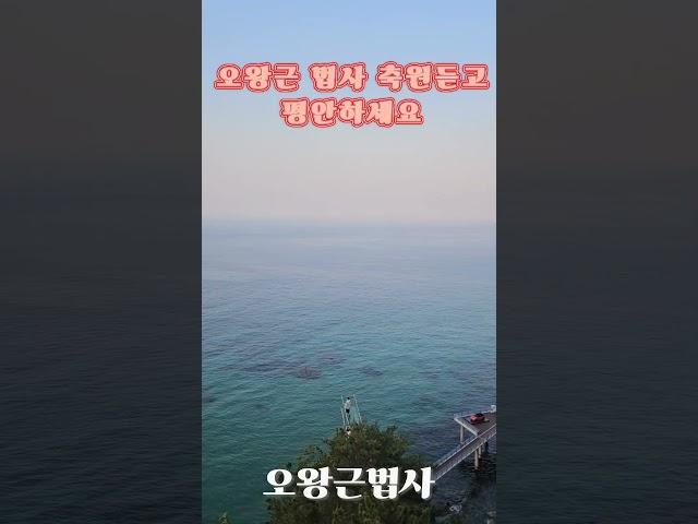 용궁사 소원성취 강릉동해 용궁기도#방생#칠월칠석#업장소멸#강원도절#점잘보는곳#광우스님