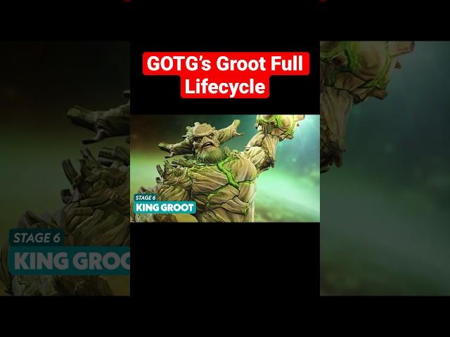 GOTG’s Groot lifecycle, from Sapling Groot, all the way to “KING GROOT” #shorts #gotg #groot