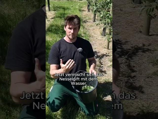 Blattlausspray für Obstbäume #gartentipps #selbstversorger #organicfarming #organic #diy