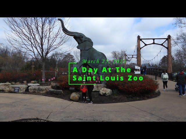 A Day At The Saint Louis Zoo