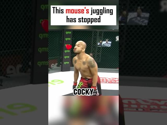 This mouse‘s juggling has stopped#sports #mma #boxing