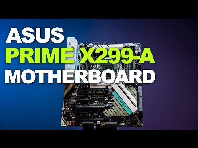 Newegg Insider: ASUS PRIME X299-A Motherboard Overview