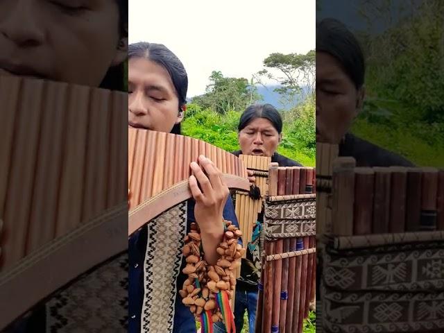 The Sound Of Silence - Panflute - Flute - Quena - Toyos