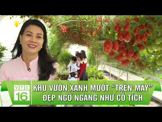 Khu vườn xanh mướt “TRÊN MÂY” đẹp ngỡ ngàng như CỔ TÍCH | Làm nông trong phố | VTC16