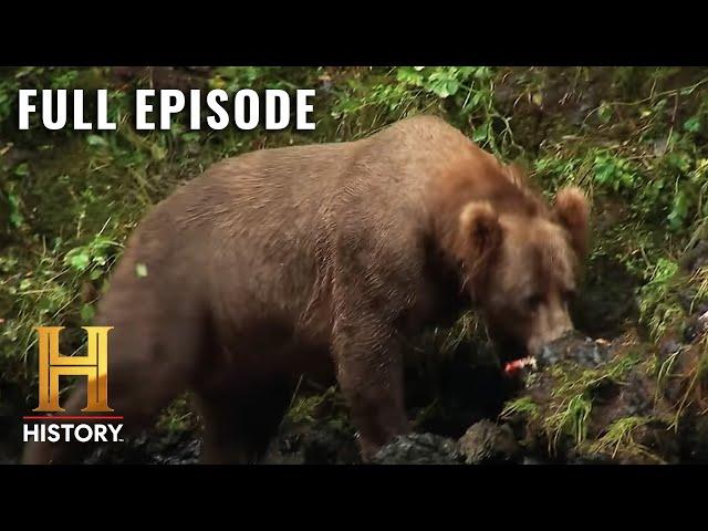 Mountain Men: Race Against the Bears (S7, E2) | Full Episode